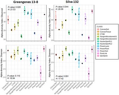 Evaluation of Established Methods for DNA Extraction and Primer Pairs Targeting 16S rRNA Gene for Bacterial Microbiota Profiling of Olive Xylem Sap